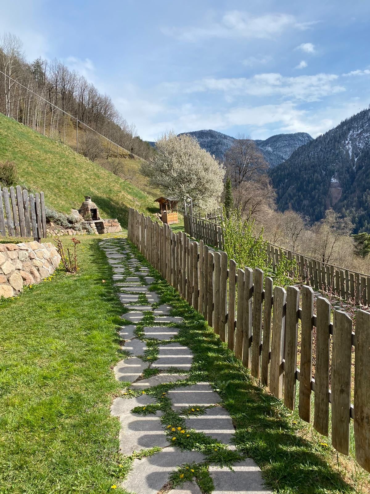 Stone slab path to the Lärche apartment in spring with blossoming trees and a view of the mountains