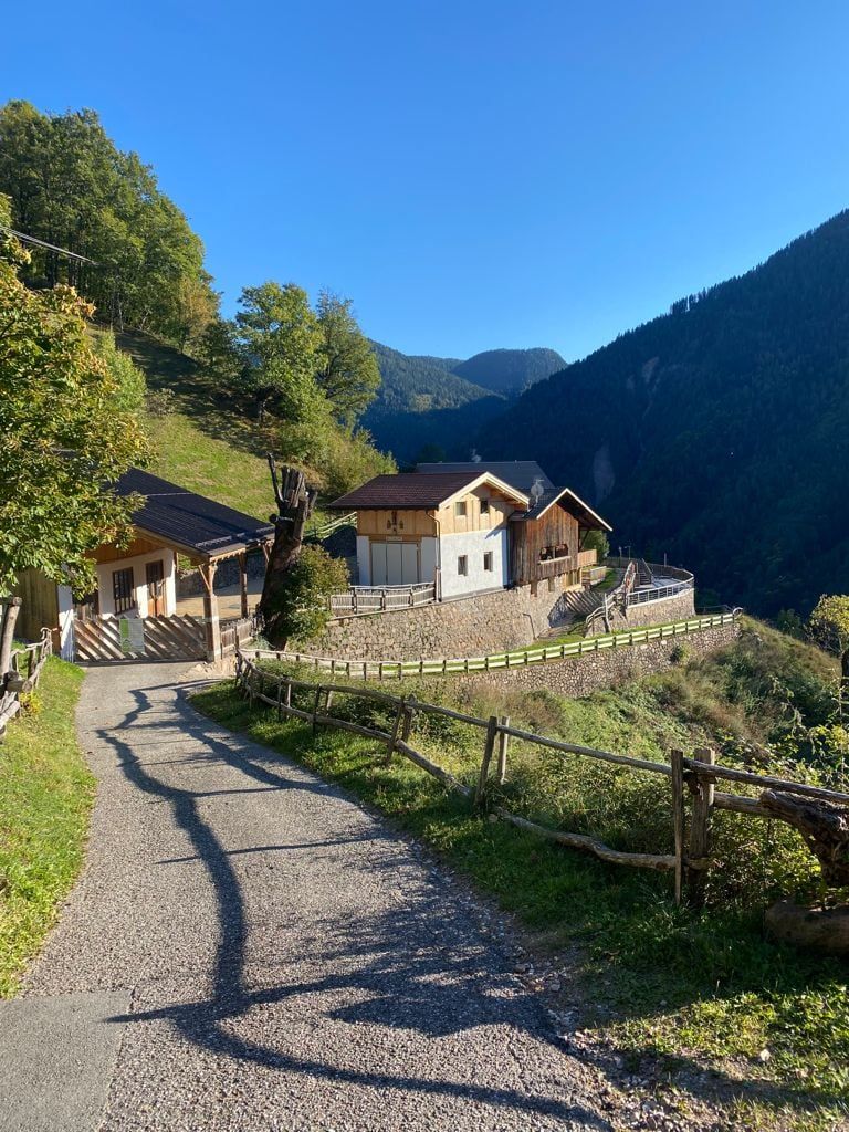Access road with wooden fence leading to the Brentwaldhof buildings